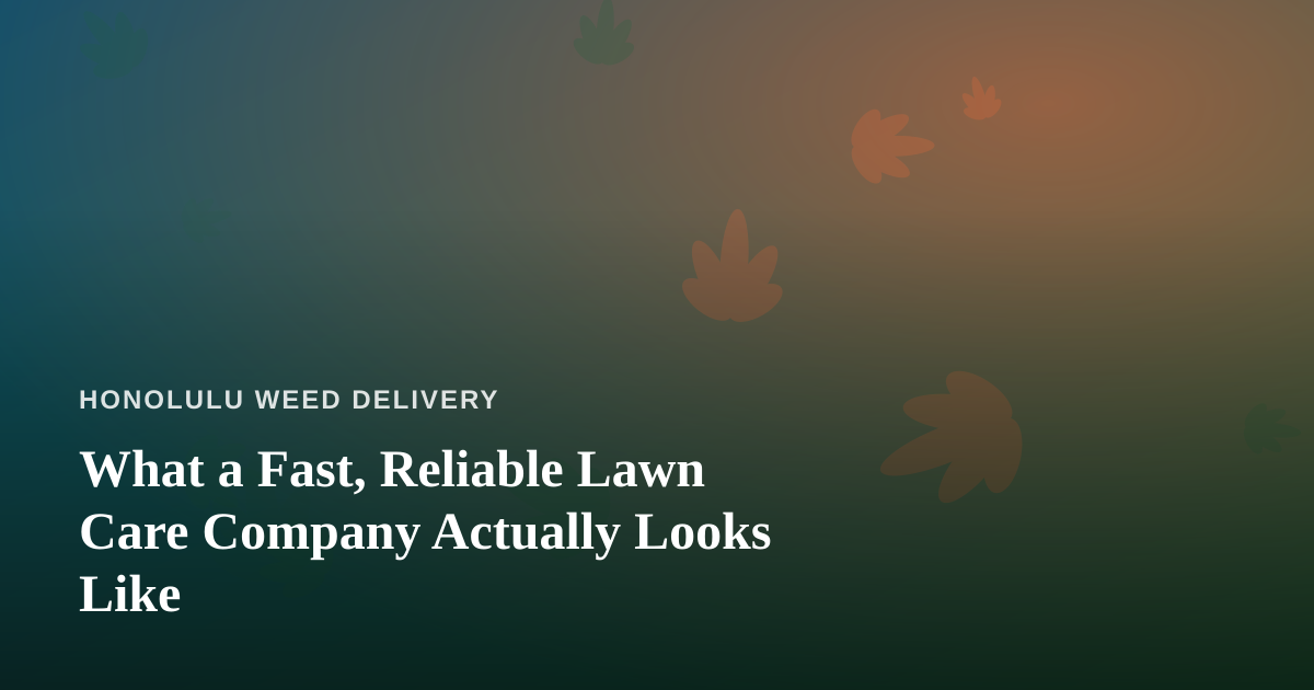 What a Fast, Reliable Lawn Care Company Actually Looks Like